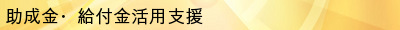 助成金・給付金活用支援